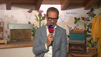 zortea bologna calciomercato news oggi