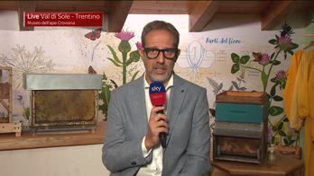 WARN! - donnarumma psg manchester city calciomercato news