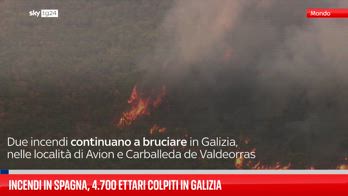 ERROR! Incendi in Spagna, 4.700 ettari colpiti in Galicia