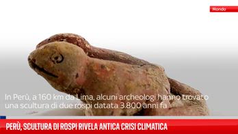 Perù, scultura di rospi rivela antica crisi climatica