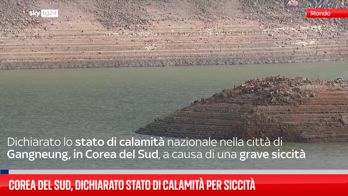 Corea del Sud, dichiarato stato di calamità per siccità
