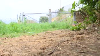 Stupro nel Milanese, violentata 18enne, è caccia all'aggressore