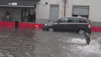 Milano, Seveso esonda a Niguarda: allagamenti e blackout