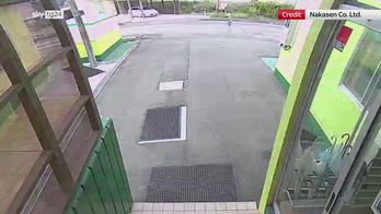 Giappone, 82enne aggredita da orso durante passeggiata