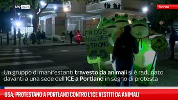Usa, protestano a Portland contro l’ICE vestiti da animali