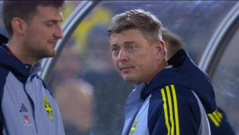 tomasson esonero svezia news