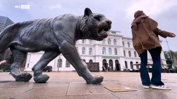 Yes Weekend 25/10/2025 - Norvegia