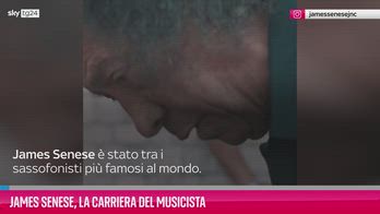 James Senese, la carriera del musicista