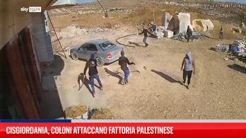Vandalizzata fattoria vicino ad Hebron