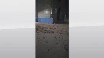 Afghanistan, terremoto magnitudo 6.3: oltre 20 morti