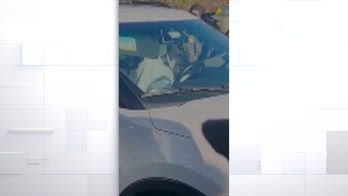 Proteste negli usa per arresto choc dell'Ice