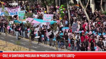 Migliaia di persone manifestano in Cile per i diritti LGBTQ+ in vista delle elezioni