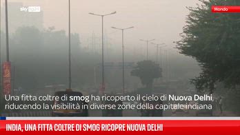 India, una fitta coltre di smog ricopre Nuova Delhi