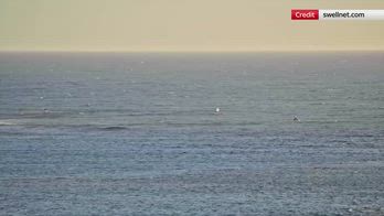 Australia Occidentale, windsurfer attaccato da uno squalo