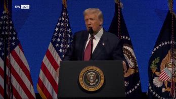 Caso Epstein, nuovi documenti mettono nei guai Trump