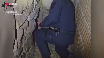 Reggio Calabria, scoperta serra marijuana in bunker a PlatÃ¬