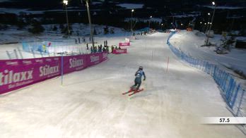 ERROR! SRV SHIFFRIN VINCE SL LEVI_5407408