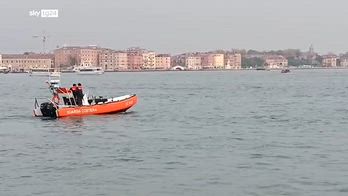 Un delfino a Venezia