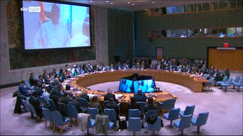 Guerra medioriente, piano di Trump arriva all'Onu