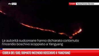 Incendio nella provincia sudcoreana di Gangwon