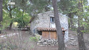 ERROR! SRV FAMIGLIA BOSCO