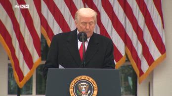 Ucraina, cosa sappiamo sulla nuova bozza del piano di pace in 19 punti