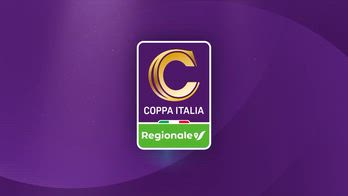 HL_COM_POT_CER_1522791