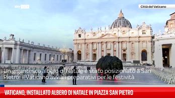 Albero di natale in Vaticano