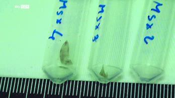 Garlasco, perizia tribunale: Dna sotto unghie vittima compatibile con Sempio