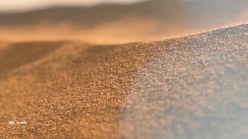 SRV WRC SAUDI ARABIA_2207073