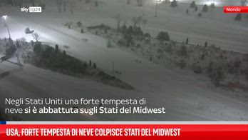 Maltempo Usa, nevicata in Michigan