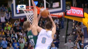 ERROR! gallinari_campo_aperto