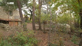 Casa nel bosco, il Tribunale dei minori de L'Aquila convoca le parti