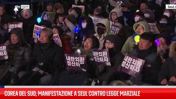 Corea del Sud, manifestazione a Seul contro legge marziale