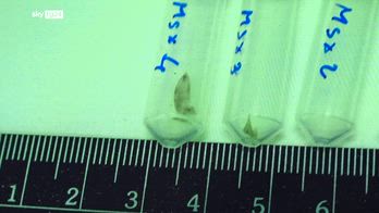 ERROR! SRV PERIZIA INCIDENTE PROBATORIO GARLASCO