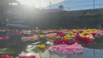 Pozzuoli, fiori in darsena: simbolo di lotta al bradisismo