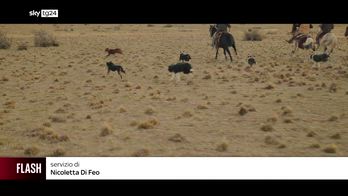 Emb Stefano Ricci Exolorer, la nuova missione porta il lusso nella terra del fuoco