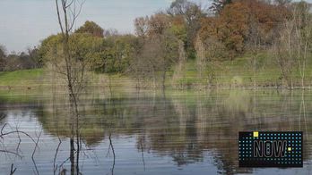 NOW, il test delle foto di vivo X300 Pro