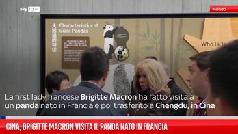 Cina, Brigitte Macron visita il panda nato in Francia