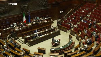 Questione migranti, Proposta Lega per cittadinanza più difficile