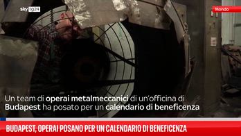 Budapest, operai posano per un calendario di beneficenza