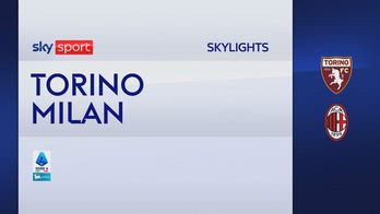 SKYLIGHTS TOR-MIL 251207