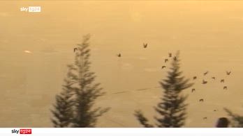 Sky Tg24 Mondo, la puntata del 8.12.2025