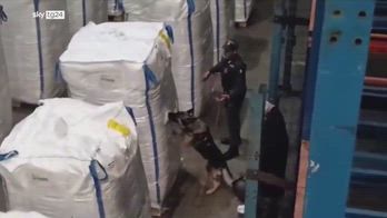 Civitavecchia, sequestrati 138 kg di cocaina su nave