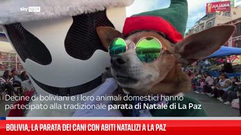 Bolivia, la parata dei cani con abiti natalizi a La Paz