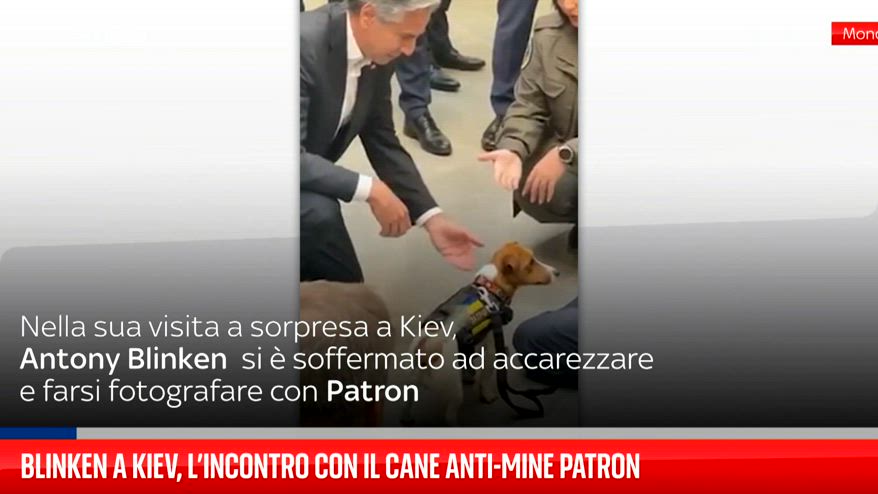 Blinken a Kiev, l'incontro con il cane anti-mine Patron