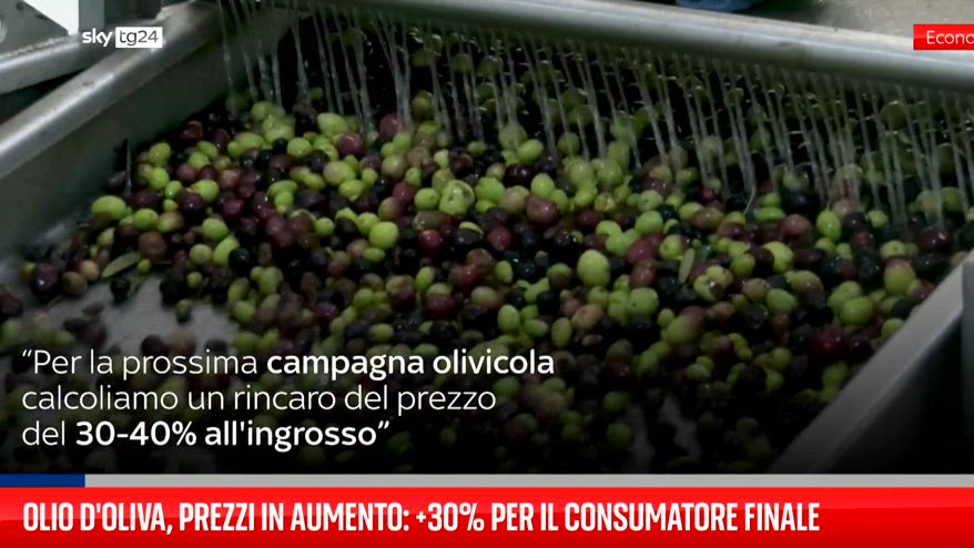 Olio d'oliva, prezzi in aumento: +30% per il consumatore finale