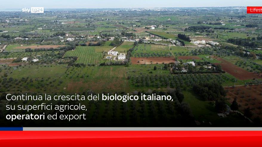 Giornata europea del Biologico, in Italia dati in crescita