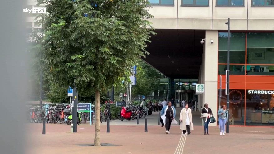 Rotterdam, arrestato autore spartorie: una lite con prof all'orgine del gesto