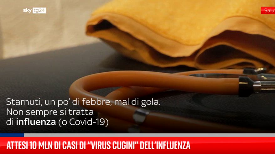 Influenza, attesi 10 mln di casi da 262 di virus "cugini"